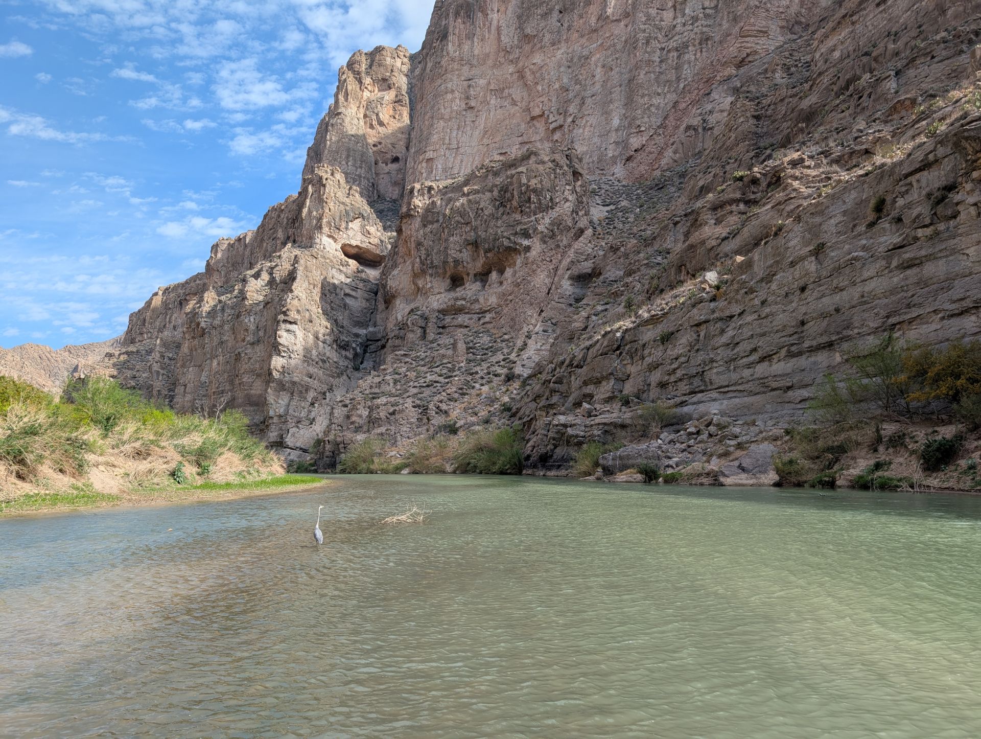 Empanadas and tamales