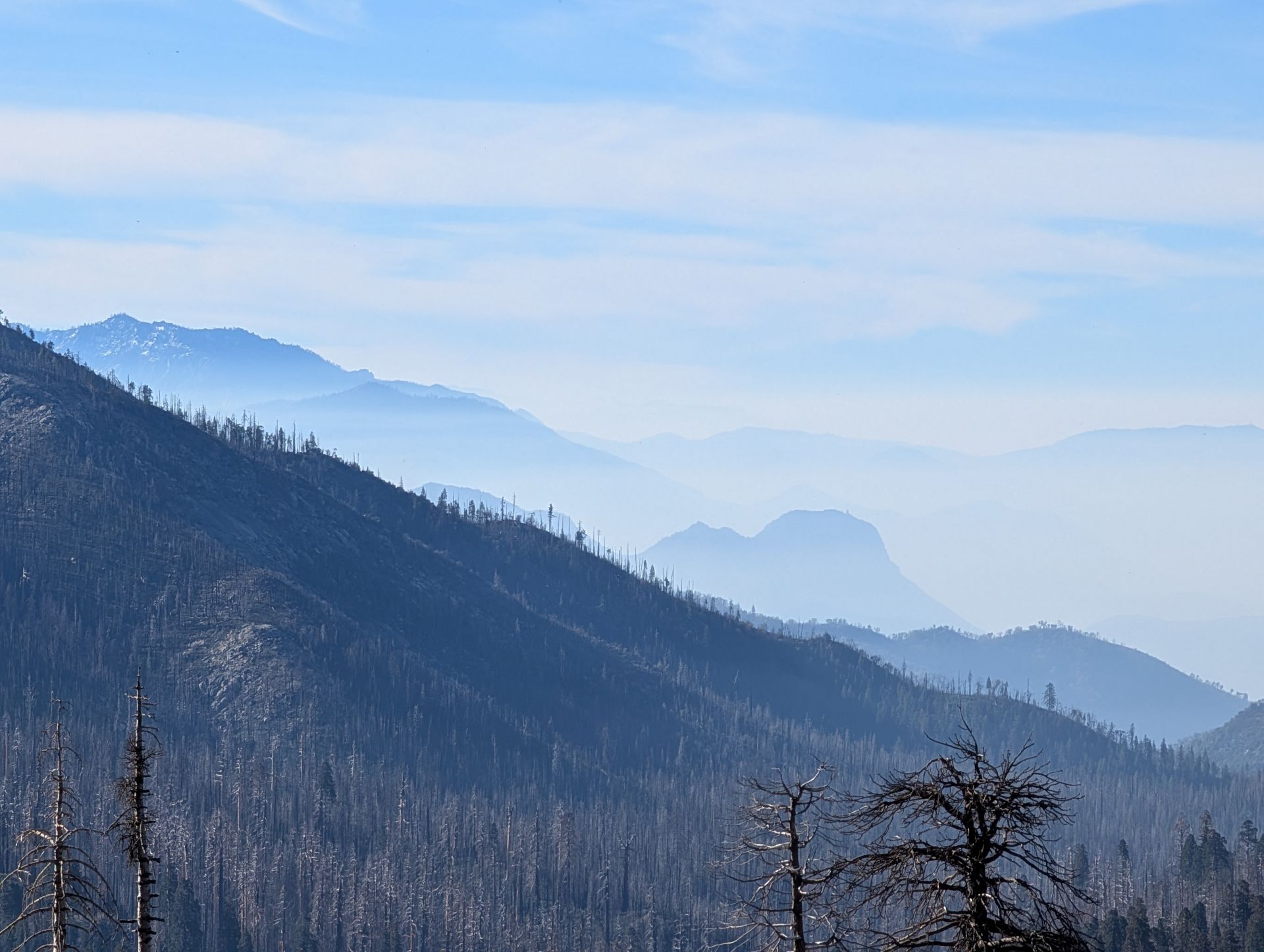Sequoia National Park